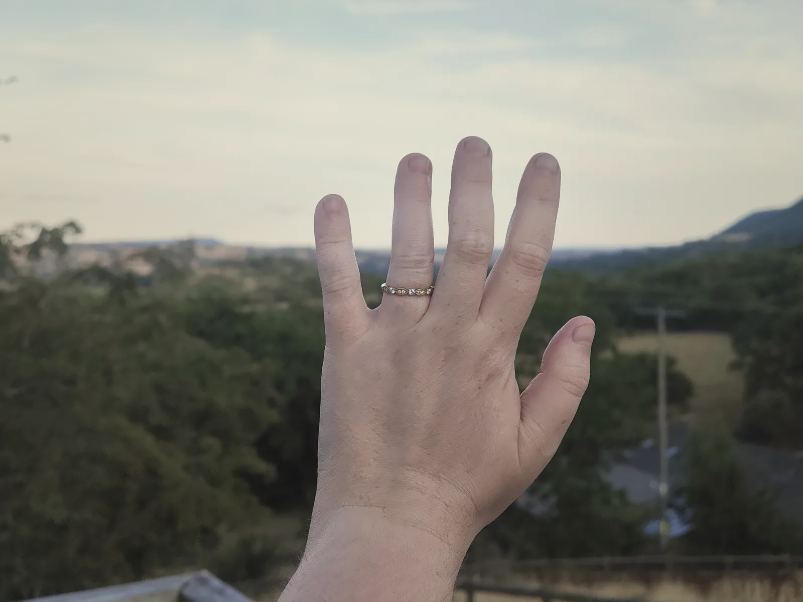 An outstretched hand wearing a gold engagement ring with sparkling stones, against the evening countryside.